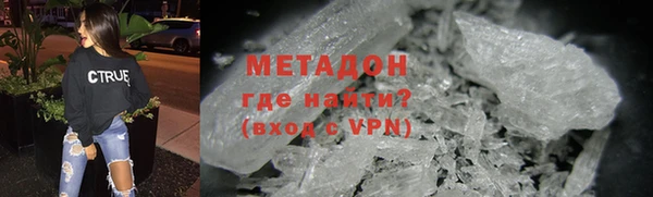 прущие грибы Лабытнанги