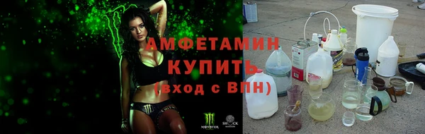 прущие грибы Лабытнанги