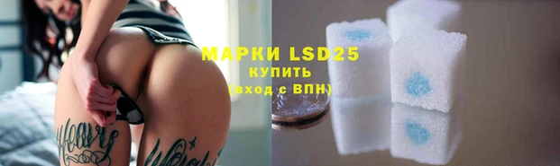 ПСИЛОЦИБИНОВЫЕ ГРИБЫ Кулебаки