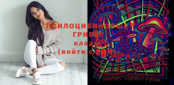 ешки Куйбышев