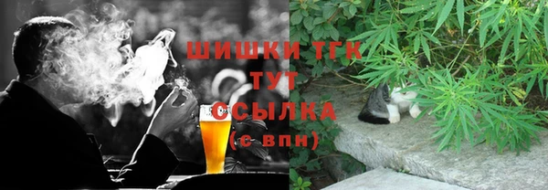 прущие грибы Лабытнанги