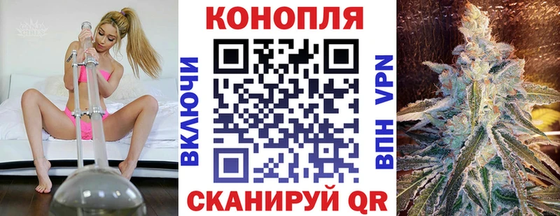 Шишки марихуана сатива  Суздаль 
